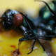 Image for article titled Shooting Challenge Freelensing Gallery 1